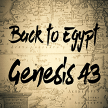 Genesis 43 back to