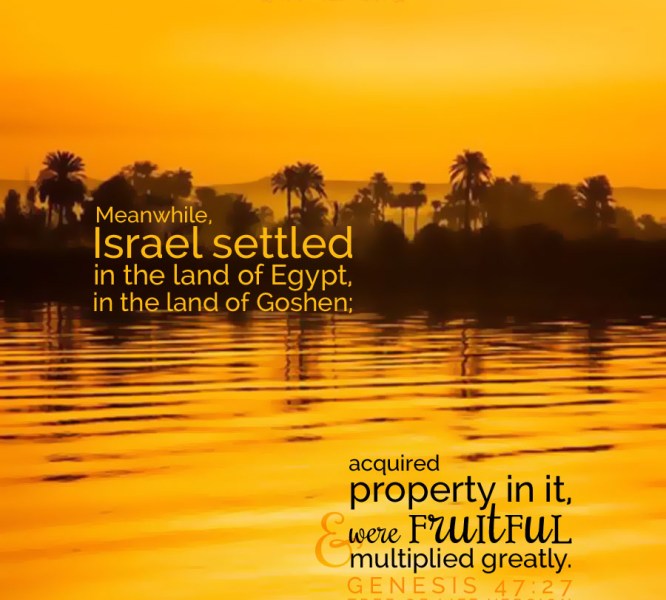 Genesis 47 meanwhile