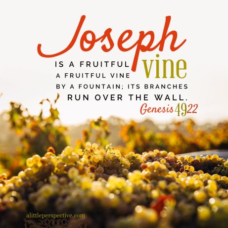 Genesis 49 Joseph