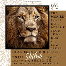 Genesis 49 Lion