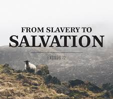 Exodus 12 from slavery to sal