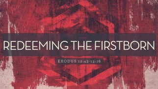 Exodus 13 first born