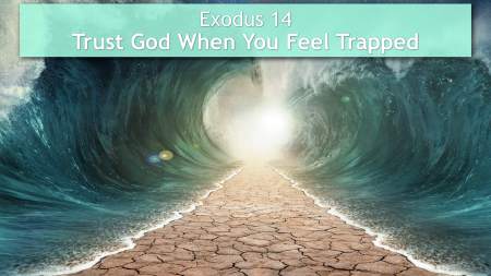 Exodus 14 trapped
