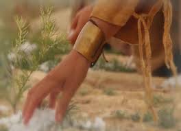 Exodus 16 gathering manna