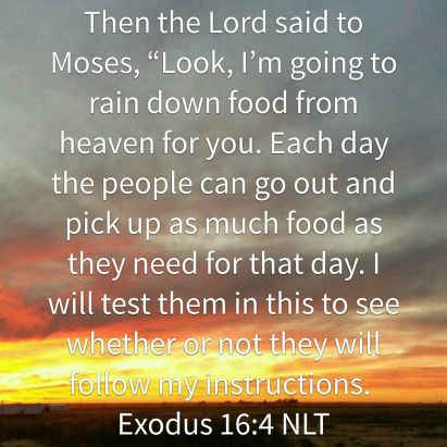 Exodus 16 manna
