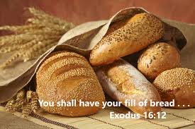Exodus 16 you will