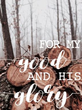 Exodus 22 my good for His glory