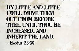 Exodus 23 drive them out