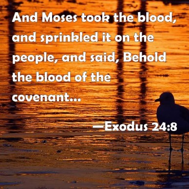Exodus 24 8