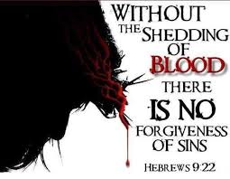 Exodus 24 shed blood