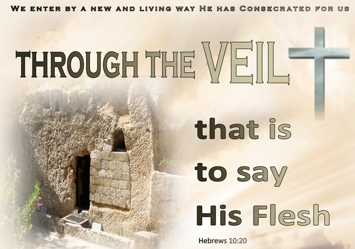 Exodus 40 through the veil