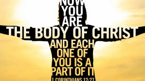 Romans 12 Body of Christ