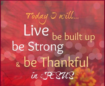 Colossians 2 live well