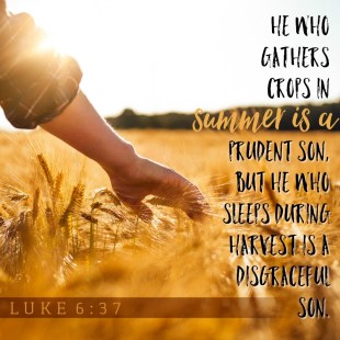 Proverbs 10 Jesus quote