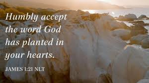 Proverbs 11 Gods voice