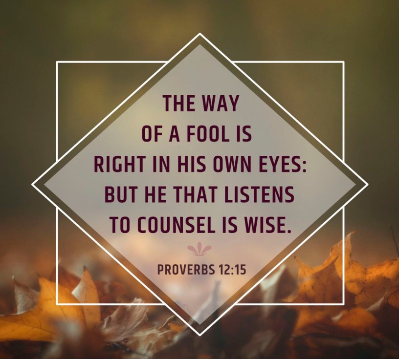 Proverbs 12 wise