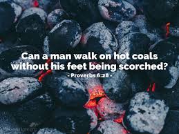 Proverbs 6 coals