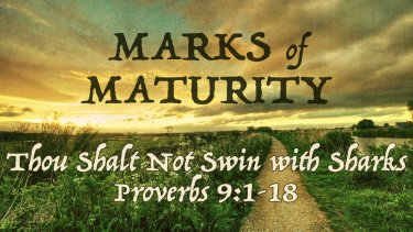 Proverbs 9 sharks