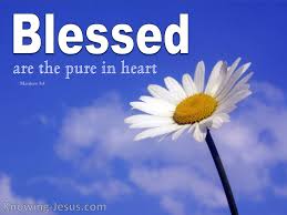 Matthew 5 pure