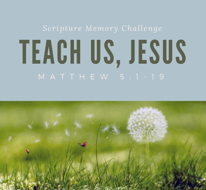 Matthew 5 teach us Jesus