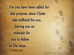 Proverbs 13 in His steps