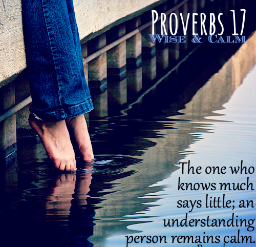 PRoverbs 17 27