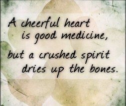 Proverbs 17 cheerful