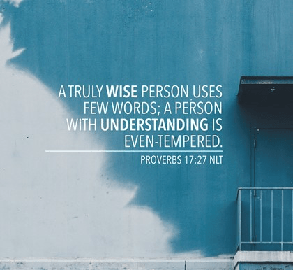 Proverbs 17 few words