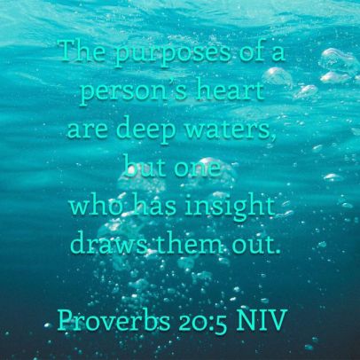 Proverbs 20 5