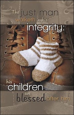 Proverbs 20 integrity