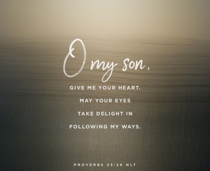 Proverbs 23 o my son
