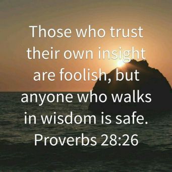 Proverbs 28 walk in wisdom