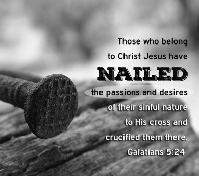 Proverbs 28 with Christ