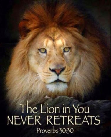 Proverbs 30 30 lion