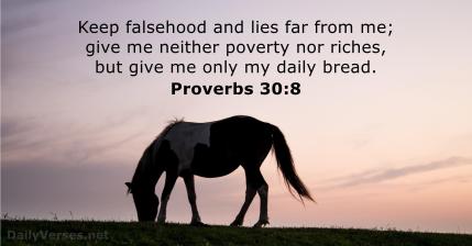 Proverbs 30 8