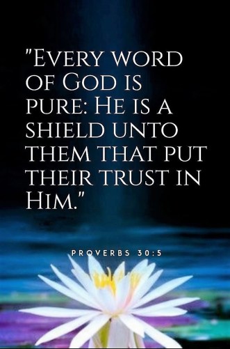 Proverbs 30 trust