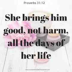 Proverbs 31 good