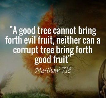Matthew 7 18