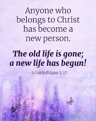 Matthew 9 new bodies