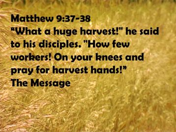 Matthew 9 pray for harvest hands