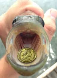 Matthew 17 coins in the fish
