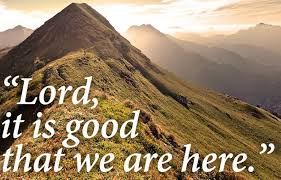 Matthew 17 good