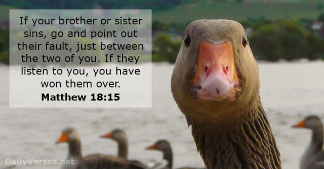 Matthew 18 15 won