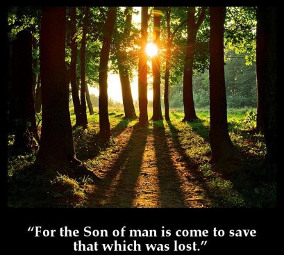 Matthew 18 Son