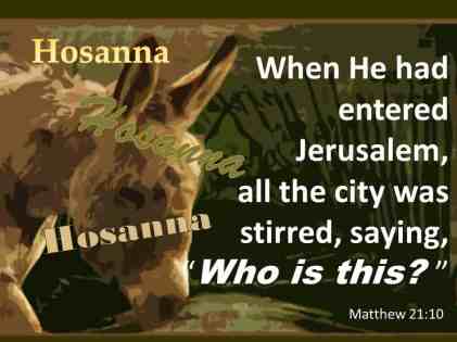 Matthew 21 eho is this